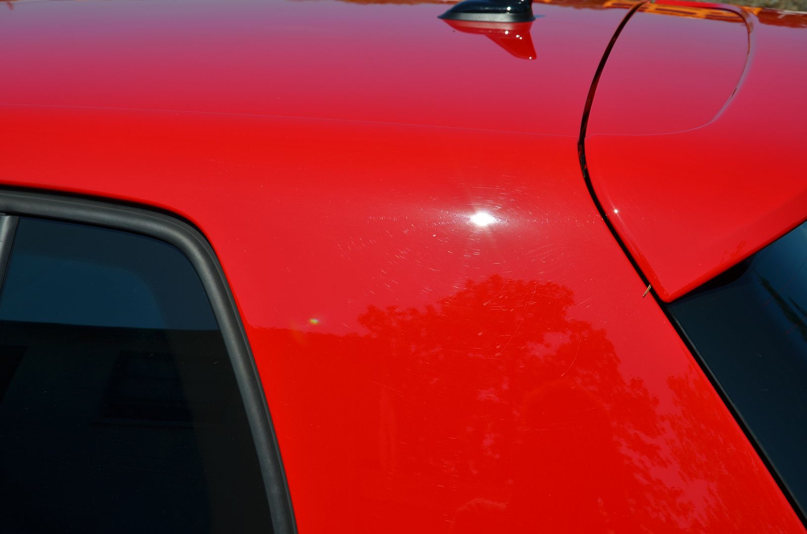 New Car Paint Correction and Opti Coat install on VW Golf R